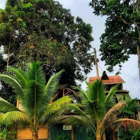 Hotel Raices Mompiche Extérieur photo