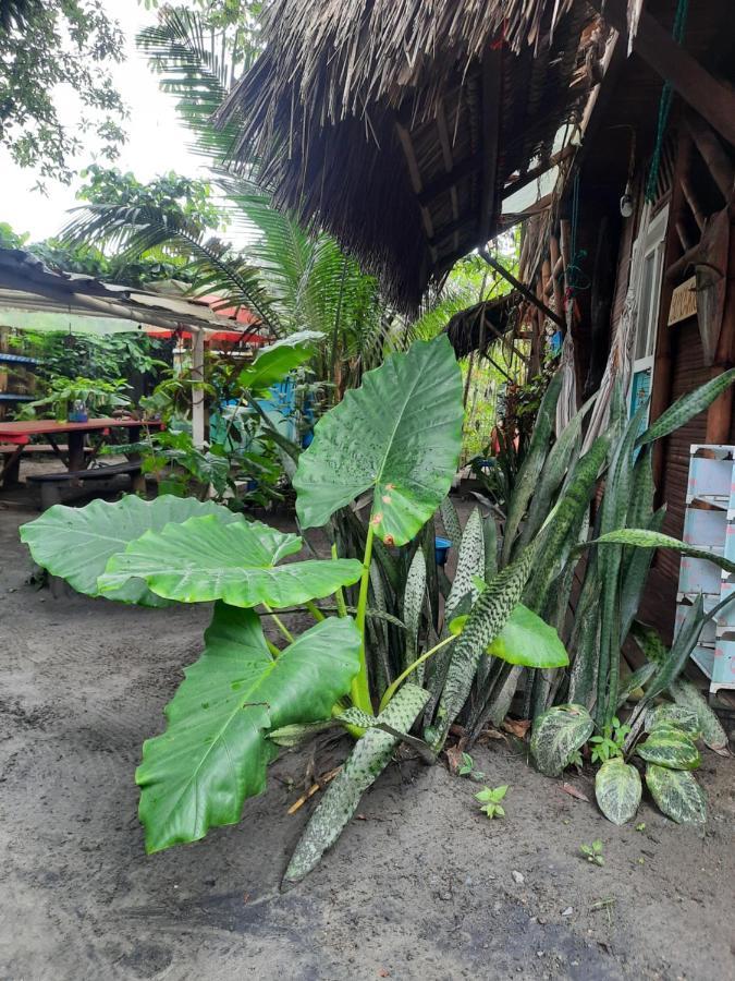 Hotel Raices Mompiche Extérieur photo