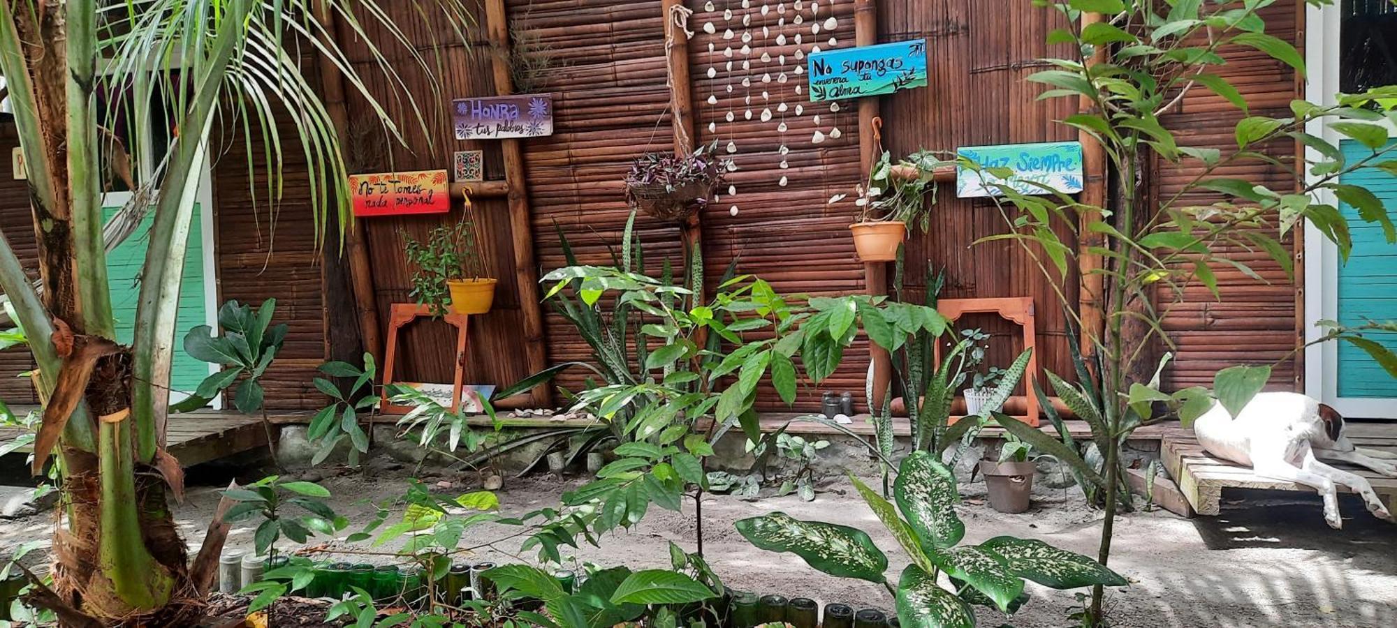 Hotel Raices Mompiche Chambre photo
