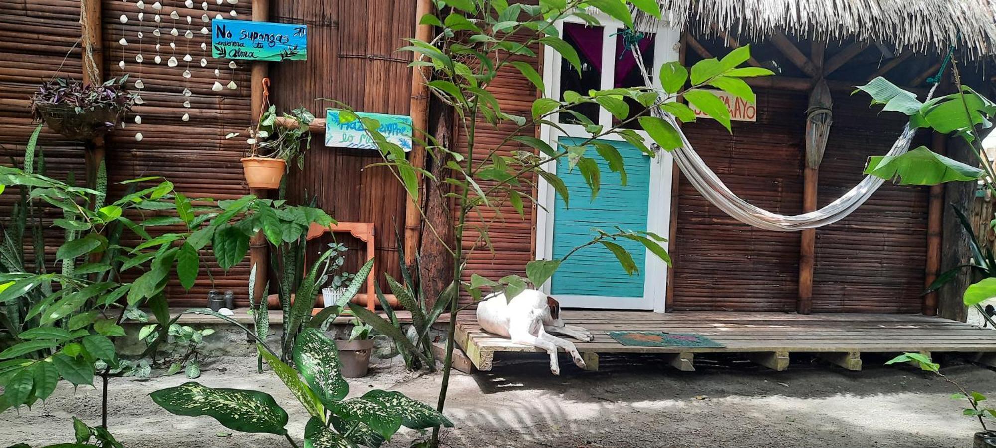 Hotel Raices Mompiche Chambre photo